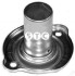 Направляюча FIAT 59mm T405715