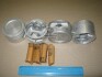 Поршни ремонт +1.00mm (к-кт на мотор) Daewoo Nexia 1.5 TEIKIN 49101.100 (фото 1)