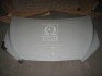 Капот CV AVEO T300 12- (пр-во TEMPEST) 016 4067 280