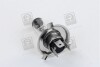 Лампа головного света H4 P43t 12V 100/90W &lt;&gt; TEMPEST H4 12V100/90W P43T (фото 2)