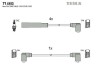 Комплект кабелiв запалювання T146G