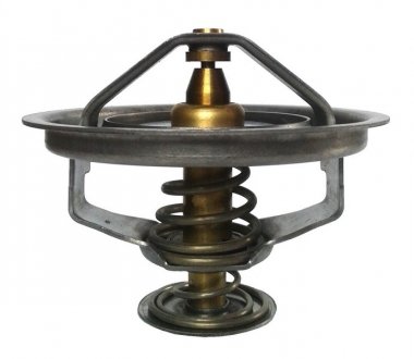 Термостат системи охолодження THERMOTEC D2FE001TT (фото 1)