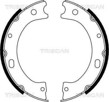 Комплект гальмівних колодок, Стоянкове гальмо TRISCAN 810014011 (фото 1)