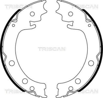 Комплект гальмівних колодок, Стоянкове гальмо TRISCAN 810069006