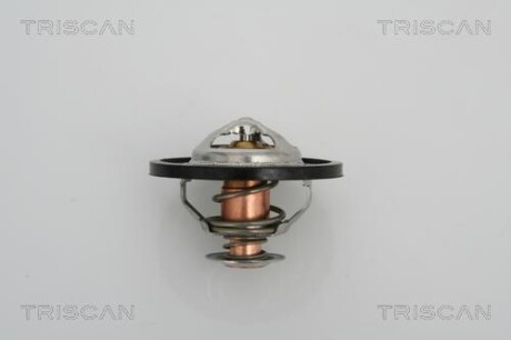 Термостат TRISCAN 8620 13591