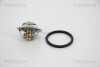 Термостат TRISCAN 8620 29082 (фото 1)