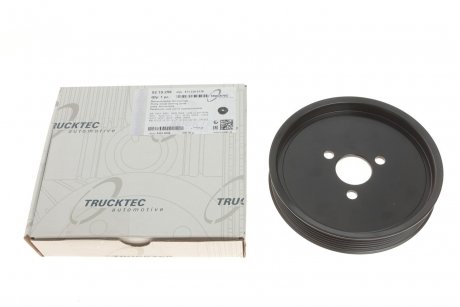 Шків насоса гідропідсилювача керма TRUCKTEC 02.19.256