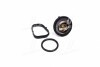 Термостат DODGE/ FIAT/ JEEP (вир-во Vernet) TH7311.95J