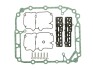 Комплект прокладок КПП ZF-AS TRONIC 4213659202