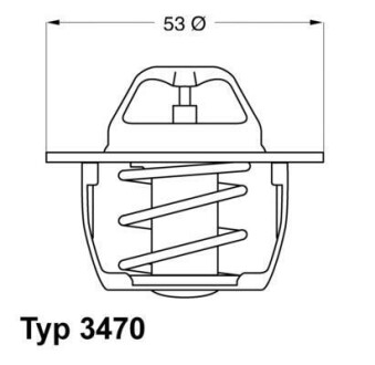 Термостат WAHLER 3470.89D50 (фото 1)