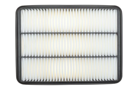 Фільтр пов. Toyota Landcruiser (WIX-Filtron) AP143/2/ WIX FILTERS WA9625