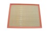 Фільтр повітр. BMW X5, X6 (WIX-Filtron) /AP 029/1 WIX FILTERS WA9656 (фото 1)